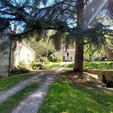 Bed and Breakfast Le Moulin Du Mesnil Saint-Georges-sur-Cher Esterno foto