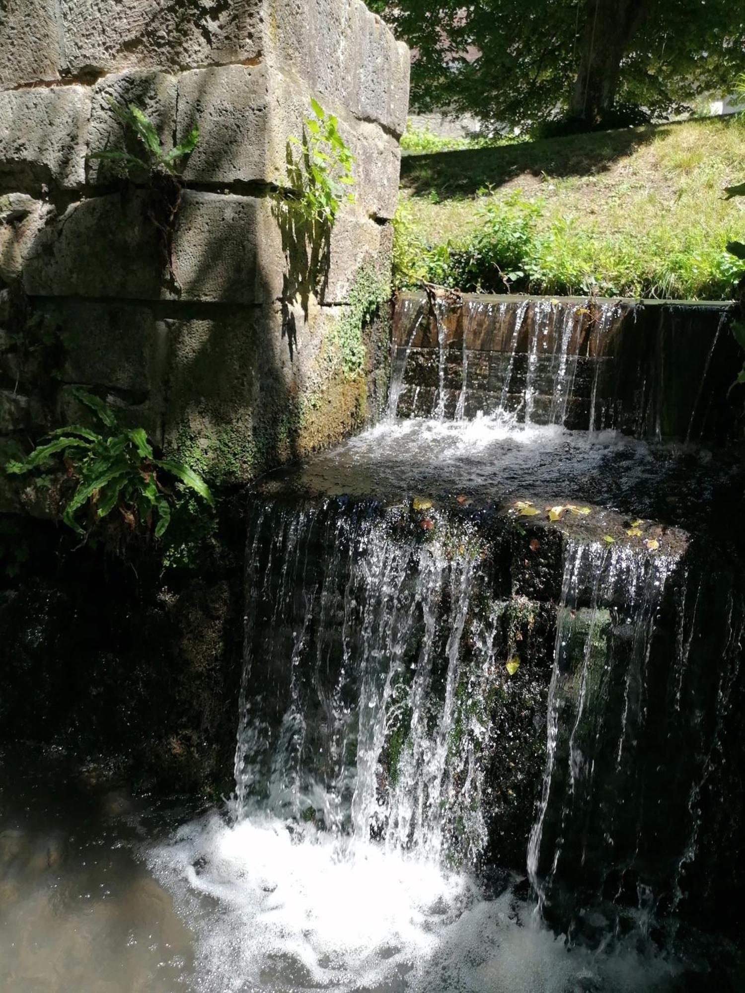 Bed & Breakfast Le Moulin Du Mesnil *